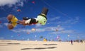 FUERTEVENTURA, SPAIN - NOVEMBER 10: Visitors enjoy beautiful display of flying kites of at 31th International Kite Festival,