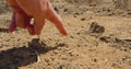 Fuerteventura, Spain. Vacation intertainment . Filming a video through the eyes of a tourist. Gray striped squirrel eats