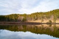 Fuessen, Germany - January 14th 2023: A forested hill mirroring in a small lake Royalty Free Stock Photo
