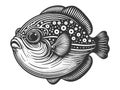 Fugu fish engraving sketch vector illustration Royalty Free Stock Photo