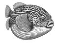 Fugu fish engraving sketch vector illustration Royalty Free Stock Photo