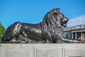 Fuil body closeup of Lion statue, Trafalgar Square, London, UK Royalty Free Stock Photo