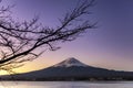 Fuji Lake Kawaguchiko at Chureito Pagoda Royalty Free Stock Photo