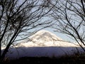 Fuji Mountain in the autumn in Kawaguchiko Lake , Japan Royalty Free Stock Photo