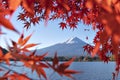 Fuji Mountain in Autumn Red Maple Leaves Frame at Kawaguchiko Lake, Japan Royalty Free Stock Photo