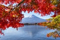 Fuji Mountain in Autumn Red Maple Leaves Frame  at Kawaguchiko Lake, Japan Royalty Free Stock Photo