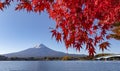 Fuji Mountain in Autumn Red Maple Leaves at Kawaguchiko Lake, Japan Royalty Free Stock Photo