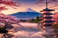 Fuji Mountain and cherry blossoms in Japan at sunset.