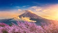 Fuji mountain and cherry blossoms in spring, Japan