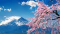 Fuji mountain and cherry blossoms in spring, Japan Royalty Free Stock Photo