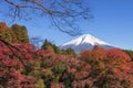 Fuji Mountain and Colourful Maple Leaves in autumn at Shiraito No Taki Waterfalls, Fujinomiya, Shizuoka, Japan Royalty Free Stock Photo