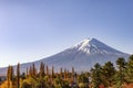 Fuji mountain and Colourful Pine Trees in Autumn at Kawaguchiko Lake, Japan