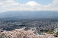 Fuji mountain in japan as background with sakura blossom Royalty Free Stock Photo