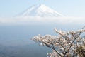 Fuji mountain in japan as background with sakura blossom Royalty Free Stock Photo