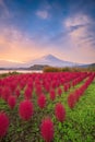 Fuji Mountain, Japan with Autumn Foliage Royalty Free Stock Photo