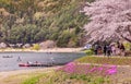 Fuji mountain and the Kawaguchi lake coast with pink sakura cherry blossoms trees in bloom at spring in japan Royalty Free Stock Photo