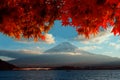 Fuji mountain and Kawaguchiko lake at sunset, Maple leaves changing color, Autumn seasons Fuji mountain at yamanachi in Japan