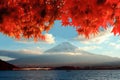 Fuji mountain and Kawaguchiko lake at sunset, Maple leaves changing color, Autumn seasons Fuji mountain at yamanachi in Japan