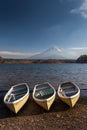 Fuji Mountain at Lake Saiko Royalty Free Stock Photo