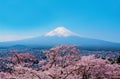 Fuji mountain landsapce. Travel and sightseeing in Japan on holiday. Sakura flower