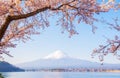 Fuji mountain landscape. Travel and sightseeing in Japan on holiday. Royalty Free Stock Photo