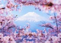 Fuji mountain landscape. Travel and sightseeing in Japan on holiday. Sakura flower