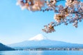 Fuji mountain landscape. Travel in Japan on holiday. Sakura flower in spring and summer