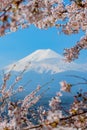 Fuji mountain landscape. Travel and sightseeing in Japan on holiday. Royalty Free Stock Photo