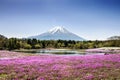 Fuji mountain