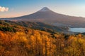 Fuji mountain red leaf cover Royalty Free Stock Photo