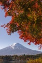 Fuji Mountain and Red Maple Leaves in Autumn at Kawaguchiko Lake,Japan Royalty Free Stock Photo