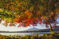 Fuji Mountain  and Red Maple Leaves in Autumn, Kawaguchiko Lake, Japan Royalty Free Stock Photo