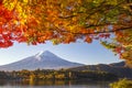 Fuji Mountain and Red Maple Leaves in Autumn at Kawaguchiko Lake, Japan Royalty Free Stock Photo
