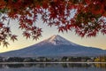 Fuji Mountain and Red Maple Leaves in Autumn at Sunsrise, Kawaguchiko Lake, Japan Royalty Free Stock Photo