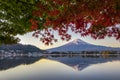 Fuji Mountain and Red Maple Leaves in Autumn at Sunsrise, Kawaguchiko Lake, Japan Royalty Free Stock Photo