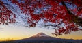 Fuji Mountain with Red Maple Tree in Autumn Morning Twilight at Kawaguchiko Lake Royalty Free Stock Photo