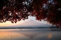 Fuji Mountain red leaf cover Royalty Free Stock Photo