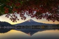 Fuji Mountain  Reflection and Red Maple Leaves in Autumn, Kawaguchiko Lake, Japan Royalty Free Stock Photo