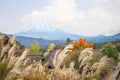 Fuji Mountain from Saiko Iyashi no Sato Nenba, Japan