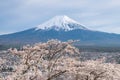 Fuji Mountain sakura branch in front on  panorama cityscape view background, sakura in spring season full blooming in Japan. Fuji Royalty Free Stock Photo