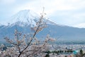 Fuji Mountain sakura cherry blossoms branch in front Fuji mount on white  sky background and cityscape view in spring ,Jap Royalty Free Stock Photo