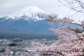 Fuji Mountain snow on top with sakura cherry blossoms branch in foreground ,beautiful cityscape view in spring on white isolated s Royalty Free Stock Photo
