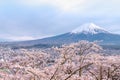 Fuji mountain in spring season, sakura tree in front with blue mountain in sunny day, clear sky cloudy in day pink sakura and city Royalty Free Stock Photo