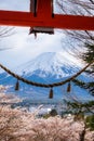 Fuji Mountain from stair way at Chureito Red Pagoda Fujiyoshida,shimenawa enclosing rope leaning of cityscape view with pink full Royalty Free Stock Photo