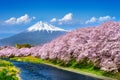 Fuji mountains and cherry blossoms in spring, Japan