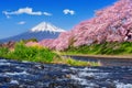 Fuji mountains and cherry blossoms in spring, Japan.