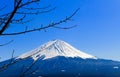 Fuji san in the winter, Japan Royalty Free Stock Photo