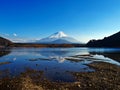 Fuji from Syoji Lake