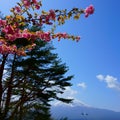 Fuji view from the top of the mountain TenjoYama. Landscape beautiful Mount Fuji. Flying small retro vintage plane. Symbols of