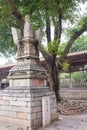 Pagoda at Kaiyuan Temple. a famous historic site in Quanzhou, Fujian, China.